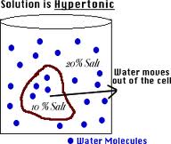 hypertonic