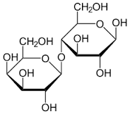 lactose