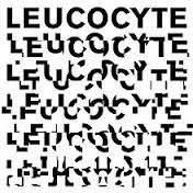 leucocyte