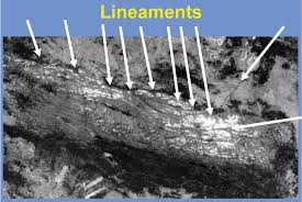 lineaments