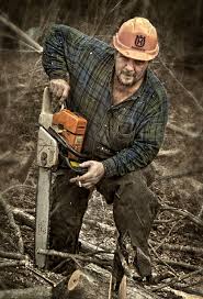 logger