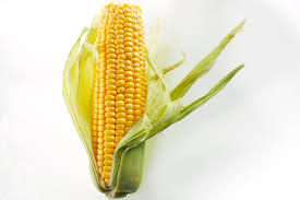 maize