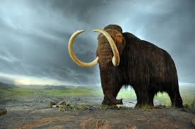 mammoth