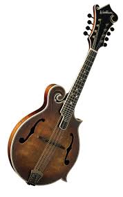 mandolin