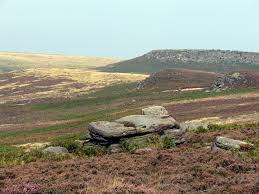 moorland