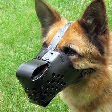 muzzle