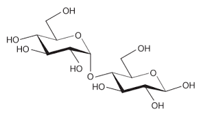 oligosaccharide