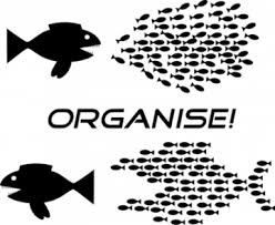 organise