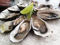 oyster