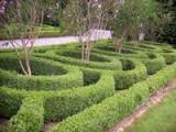 parterre