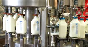 pasteurization