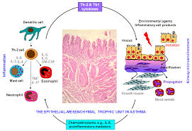 pathogenesis