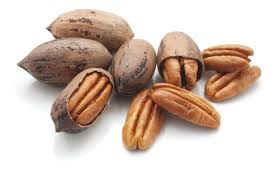 pecan