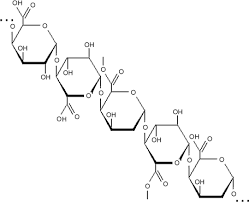 pectin