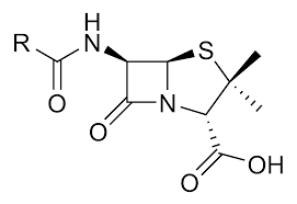 penicillin