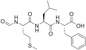 peptide