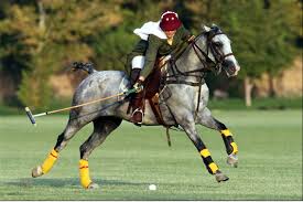 polo