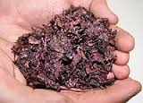 pomace