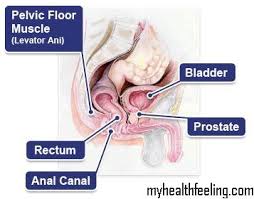 proctalgia