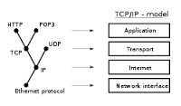 protocol