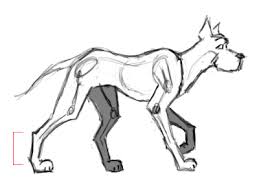 quadruped