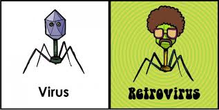 retrovirus