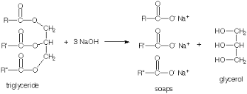 saponification