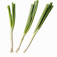 scallion