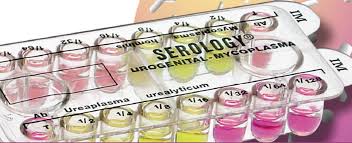 serology