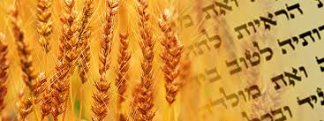 shavuot