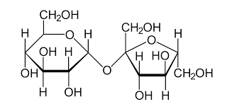 sucrose