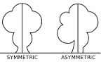 symmetrical