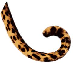 tail