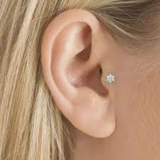 tragus