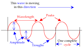 transverse