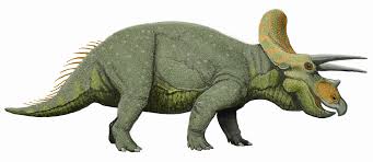 triceratops