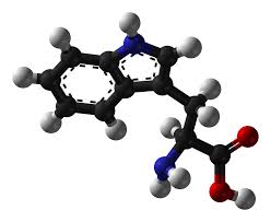 tryptophan