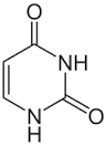 uracil