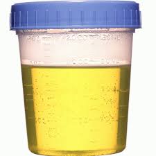 urine