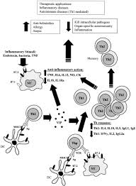 vasoactive