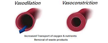 vasoconstriction