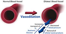 vasodilation