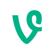 vine