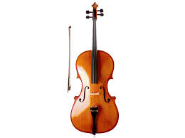 violoncello