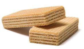 wafer