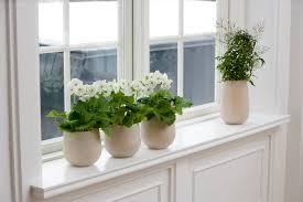 windowsill