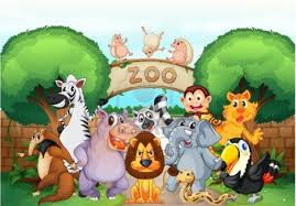 zoo